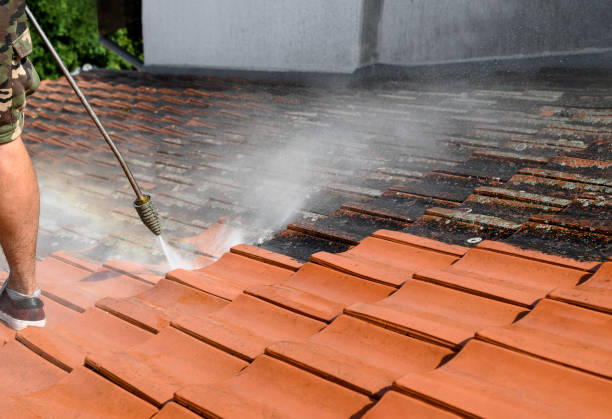 Best Residential Pressure Washing Services  in Beattyville, KY